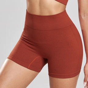 Shorts Feminino de Cintura Alta sem Costura – Karina