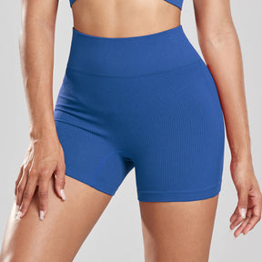 Shorts Feminino de Cintura Alta sem Costura – Karina