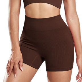 Shorts Feminino de Cintura Alta sem Costura – Karina