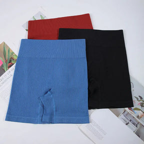 Shorts Feminino de Cintura Alta sem Costura – Karina