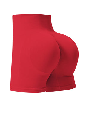 Shorts Feminino de Cintura Alta sem Costura – Karina